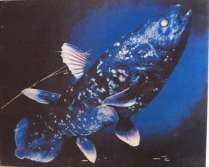 Museum Malindi, Coelacanth vis